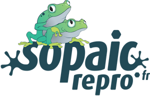 Logo Sopaic